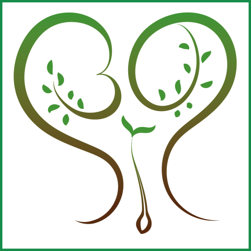 A 30 jubileumi fa ültetésének logója: 30-as számot mintázó faágak