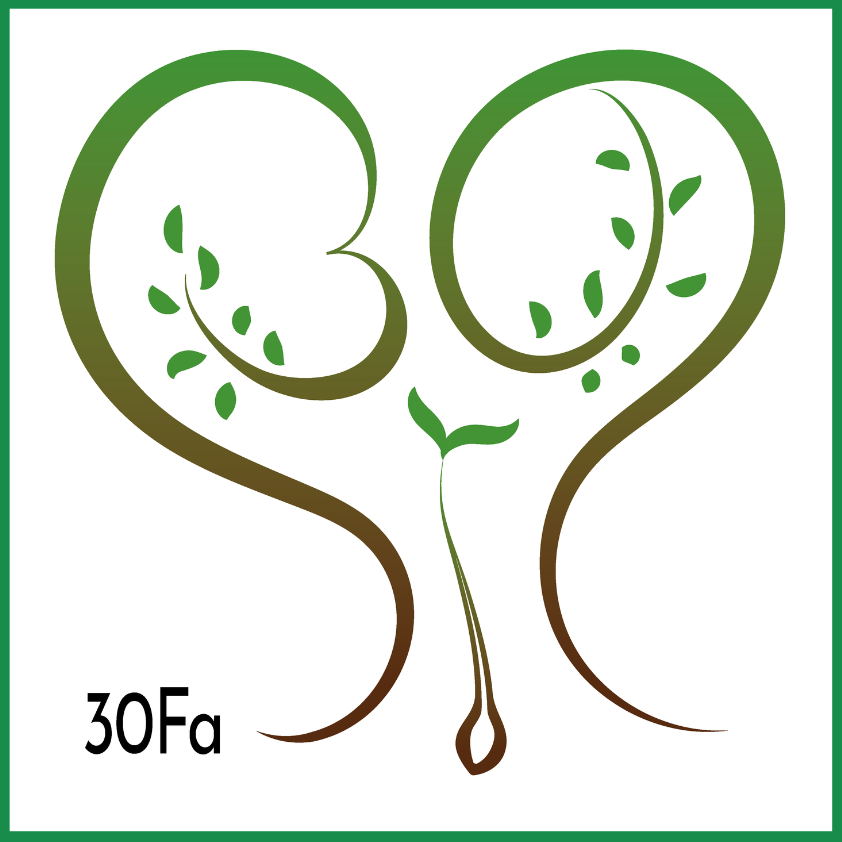 A 30 jubileumi fa ültetésének logója: 30-as számot mintázó faágak és felirat: 30 fa