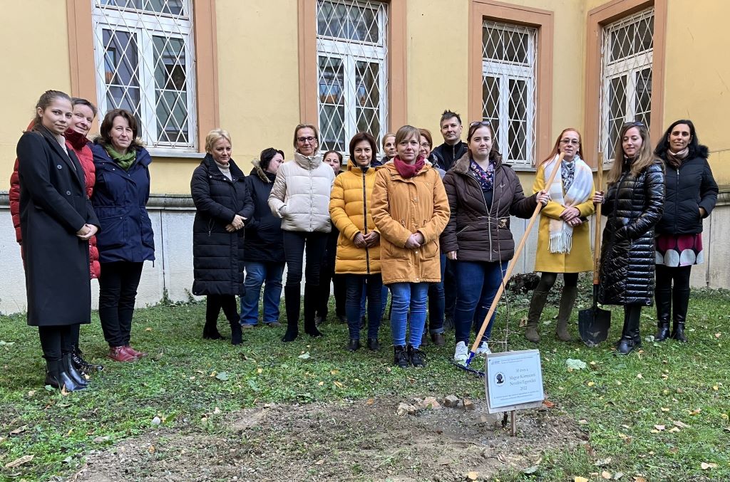 Faültetők az ültetett fával Győrben
