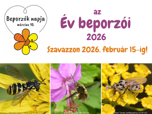 A Beporzók napja logója, 3 jelölt fotója és szöveg: az Év beporzói 2026 - Szavazzon 2026. február 15-ig!